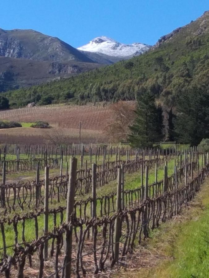 L'Auberge Chanteclair Franschhoek Esterno foto