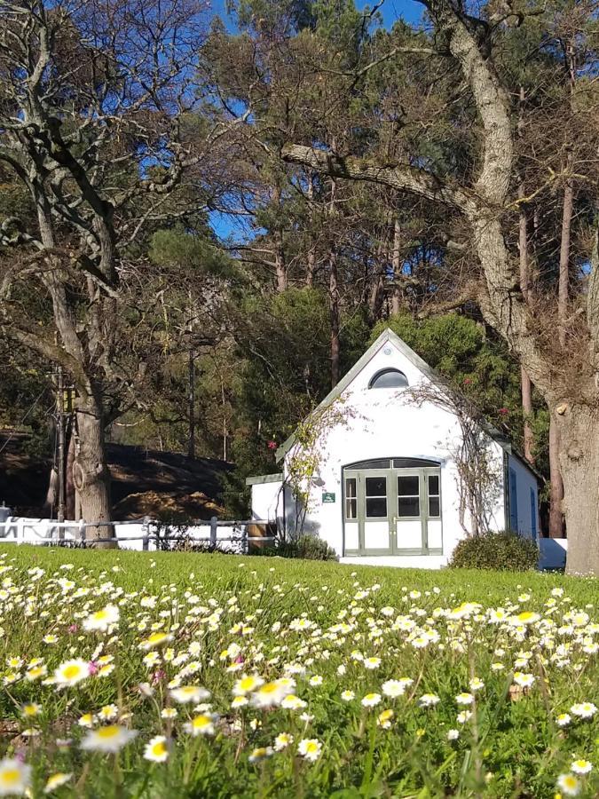 L'Auberge Chanteclair Franschhoek Esterno foto