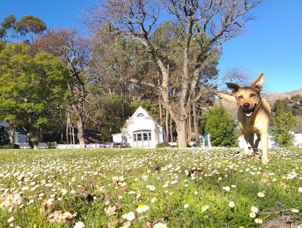 L'Auberge Chanteclair Franschhoek Esterno foto