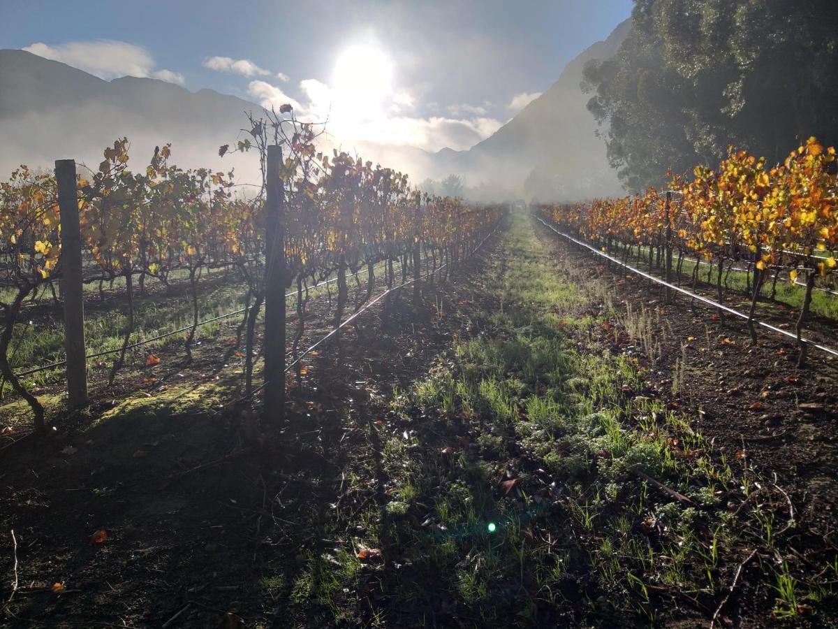 L'Auberge Chanteclair Franschhoek Esterno foto